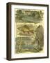 Fisherman's Vignette II-Vision Studio-Framed Art Print