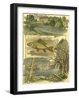 Fisherman's Vignette II-Vision Studio-Framed Art Print