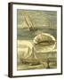 Fisherman's Vignette IV-Vision Studio-Framed Art Print