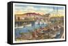 Fisherman's Wharf, San Francisco, California-null-Framed Stretched Canvas