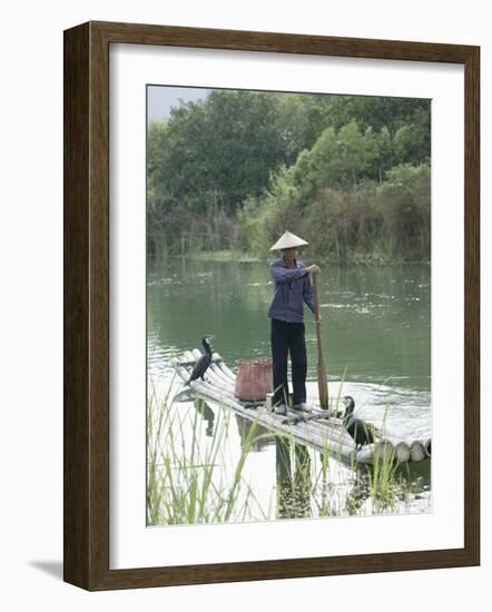 Fisherman with Cormorants, Yangshuo, Li River, Guangxi Province, China-Angelo Cavalli-Framed Photographic Print