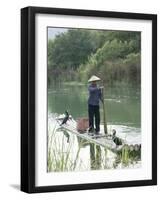 Fisherman with Cormorants, Yangshuo, Li River, Guangxi Province, China-Angelo Cavalli-Framed Photographic Print