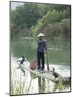 Fisherman with Cormorants, Yangshuo, Li River, Guangxi Province, China-Angelo Cavalli-Mounted Photographic Print