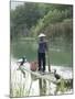 Fisherman with Cormorants, Yangshuo, Li River, Guangxi Province, China-Angelo Cavalli-Mounted Photographic Print