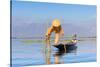 Fisherman with traditional conical net on boat, Lake Inle, Shan State, Myanmar (Burma)-Jan Miracky-Stretched Canvas