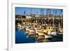 Fishermans Wharf San Francisco-Steve Gadomski-Framed Photographic Print
