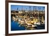 Fishermans Wharf San Francisco-Steve Gadomski-Framed Photographic Print