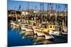 Fishermans Wharf San Francisco-Steve Gadomski-Mounted Photographic Print