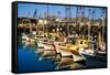 Fishermans Wharf San Francisco-Steve Gadomski-Framed Stretched Canvas