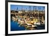 Fishermans Wharf San Francisco-Steve Gadomski-Framed Photographic Print