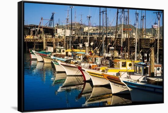 Fishermans Wharf San Francisco-Steve Gadomski-Framed Stretched Canvas