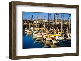 Fishermans Wharf San Francisco-Steve Gadomski-Framed Photographic Print