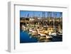 Fishermans Wharf San Francisco-Steve Gadomski-Framed Photographic Print