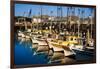 Fishermans Wharf San Francisco-Steve Gadomski-Framed Photographic Print