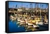 Fishermans Wharf San Francisco-Steve Gadomski-Framed Stretched Canvas