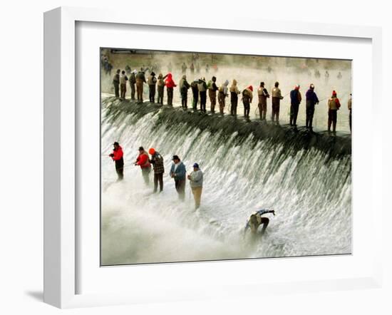 Fishermen Brave the Cold Waters at Bennett Spring State Park for a Chance to Catch Trout-null-Framed Premium Photographic Print