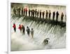 Fishermen Brave the Cold Waters at Bennett Spring State Park for a Chance to Catch Trout-null-Framed Photographic Print
