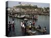 Fishermen Bringing Catch Ashore, Elmina, Ghana, West Africa, Africa-Poole David-Stretched Canvas