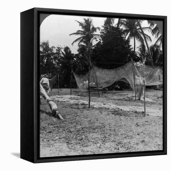 Fishermen Drying their Nets on the Beach, Basseterre, St Christopher, West Indies-HC White-Framed Stretched Canvas