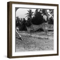 Fishermen Drying their Nets on the Beach, Basseterre, St Christopher, West Indies-HC White-Framed Photographic Print