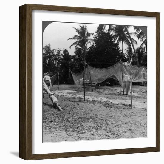 Fishermen Drying their Nets on the Beach, Basseterre, St Christopher, West Indies-HC White-Framed Photographic Print