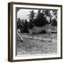 Fishermen Drying their Nets on the Beach, Basseterre, St Christopher, West Indies-HC White-Framed Photographic Print