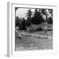 Fishermen Drying their Nets on the Beach, Basseterre, St Christopher, West Indies-HC White-Framed Photographic Print