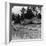 Fishermen Drying their Nets on the Beach, Basseterre, St Christopher, West Indies-HC White-Framed Photographic Print