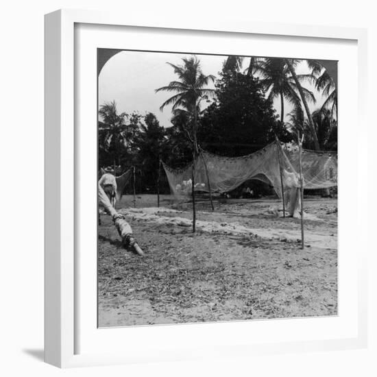 Fishermen Drying their Nets on the Beach, Basseterre, St Christopher, West Indies-HC White-Framed Photographic Print