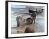 Fishermen From Valencia, 1895, Spanish School-Joaquín Sorolla y Bastida-Framed Giclee Print