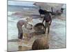 Fishermen From Valencia, 1895, Spanish School-Joaquín Sorolla y Bastida-Mounted Giclee Print