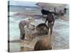Fishermen From Valencia, 1895, Spanish School-Joaquín Sorolla y Bastida-Stretched Canvas