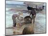 Fishermen From Valencia, 1895, Spanish School-Joaquín Sorolla y Bastida-Mounted Premium Giclee Print