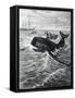 Fishermen Harpooning Sperm Whale-null-Framed Stretched Canvas