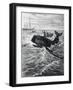 Fishermen Harpooning Sperm Whale-null-Framed Giclee Print