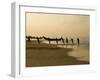 Fishermen Hauling in Nets at Sunrise, Chowara Beach, Near Kovalam, Kerala, India, Asia-Stuart Black-Framed Photographic Print