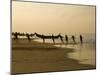 Fishermen Hauling in Nets at Sunrise, Chowara Beach, Near Kovalam, Kerala, India, Asia-Stuart Black-Mounted Photographic Print