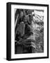 Fishermen Hauling Net onto Boat-Ralph Morse-Framed Photographic Print