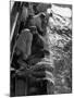 Fishermen Hauling Net onto Boat-Ralph Morse-Mounted Photographic Print