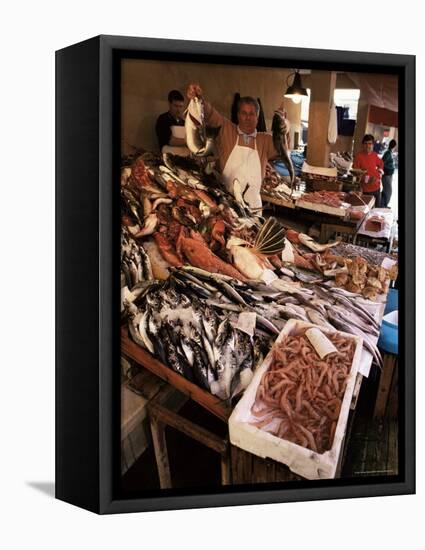 Fishermen in the Marsala Fish Market, Marsala, Sicily, Italy-Michael Newton-Framed Stretched Canvas