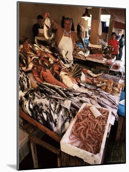 Fishermen in the Marsala Fish Market, Marsala, Sicily, Italy-Michael Newton-Mounted Photographic Print