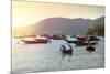 Fishermen in traditional round basket coracle boats on Cham Island, Quang Nam, Vietnam, Indochina,-Alex Robinson-Mounted Photographic Print