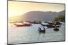 Fishermen in traditional round basket coracle boats on Cham Island, Quang Nam, Vietnam, Indochina,-Alex Robinson-Mounted Photographic Print