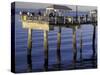 Fishermen on Pier at Myrtle Edwards Park, Seattle, Washington, USA-William Sutton-Stretched Canvas