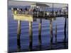 Fishermen on Pier at Myrtle Edwards Park, Seattle, Washington, USA-William Sutton-Mounted Photographic Print