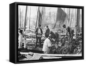 Fishermen Overhaul the Nets on Their Boats at Scarborough Yorkshire-Graystone Bird-Framed Stretched Canvas