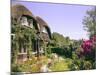 Fishermen's Cottages-null-Mounted Photographic Print
