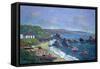 Fishermen's Rocks, 2004-Carlton Murrell-Framed Stretched Canvas