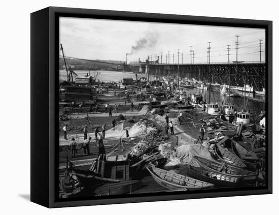 Fishermen's Terminal at Salmon Bay Photograph - Seattle, WA-Lantern Press-Framed Stretched Canvas
