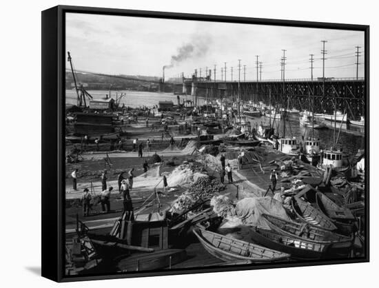 Fishermen's Terminal at Salmon Bay Photograph - Seattle, WA-Lantern Press-Framed Stretched Canvas